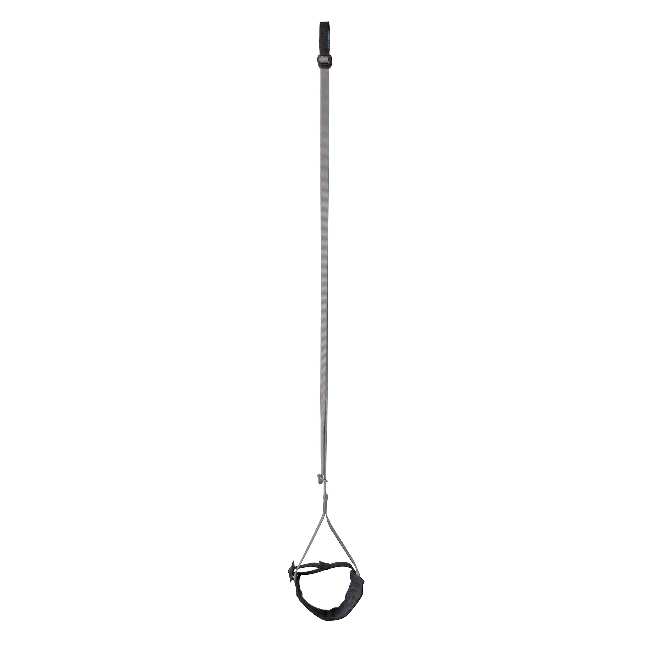 Metolius Easy Aider