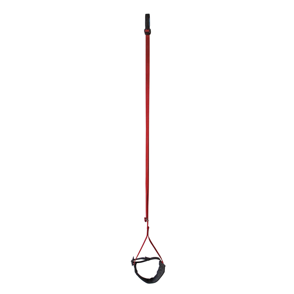 Metolius Easy Aider