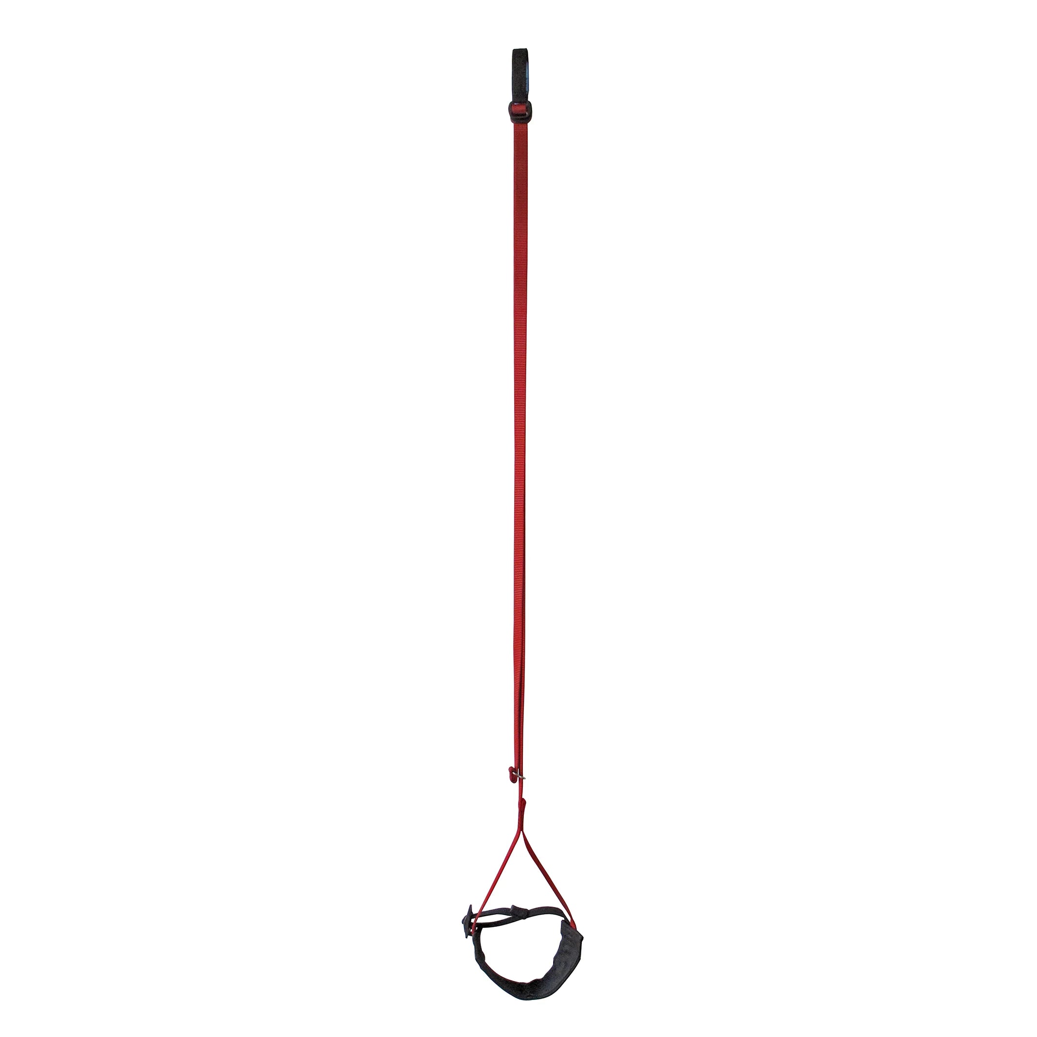 Metolius Easy Aider