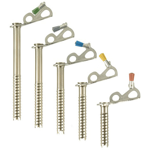Black Diamond Express Ice Screw - BLEM