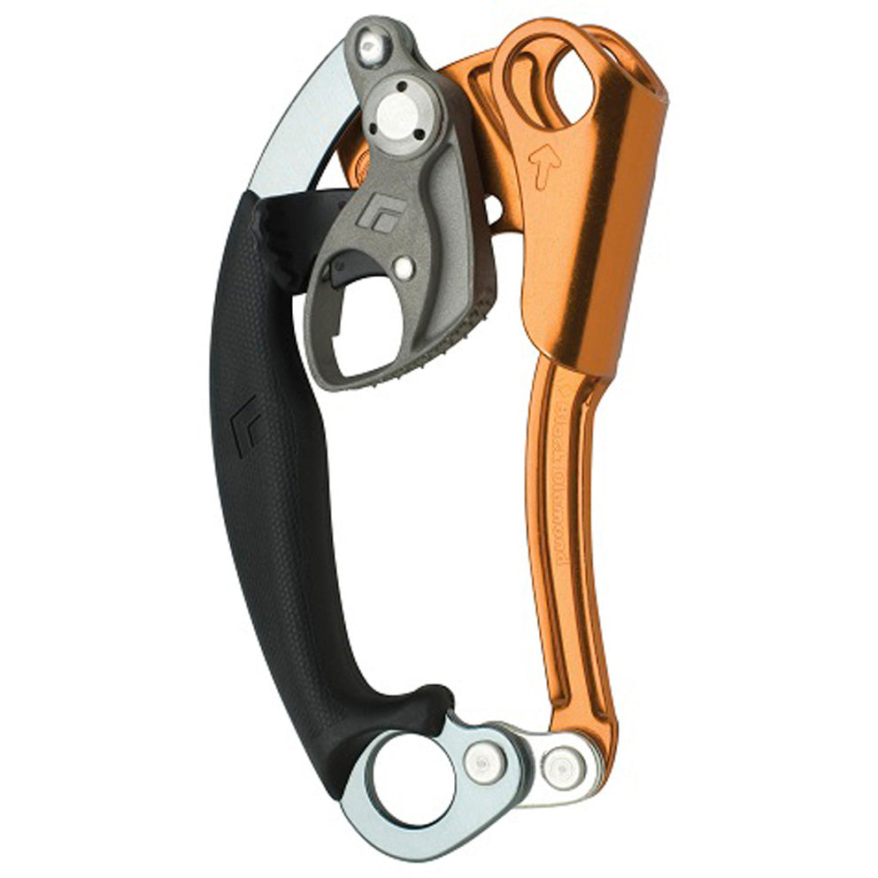 Black Diamond nForce Ascender
