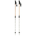 Black Diamond First Strike Trekking Poles
