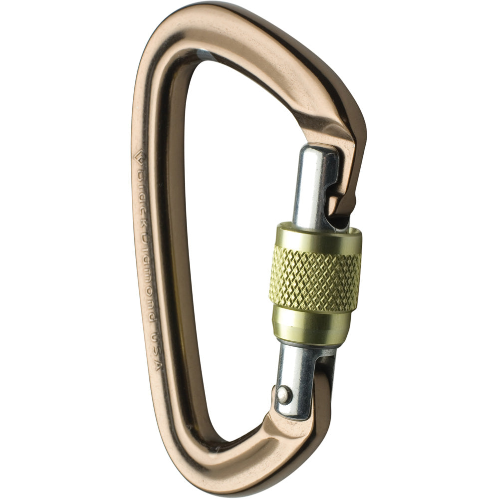 Black Diamond Positron Screwgate Carabiner