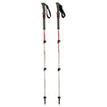 Black Diamond Trail Shock Compact Trekking Poles
