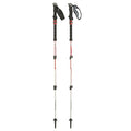 Black Diamond Trail Shock Trekking Poles - Pair