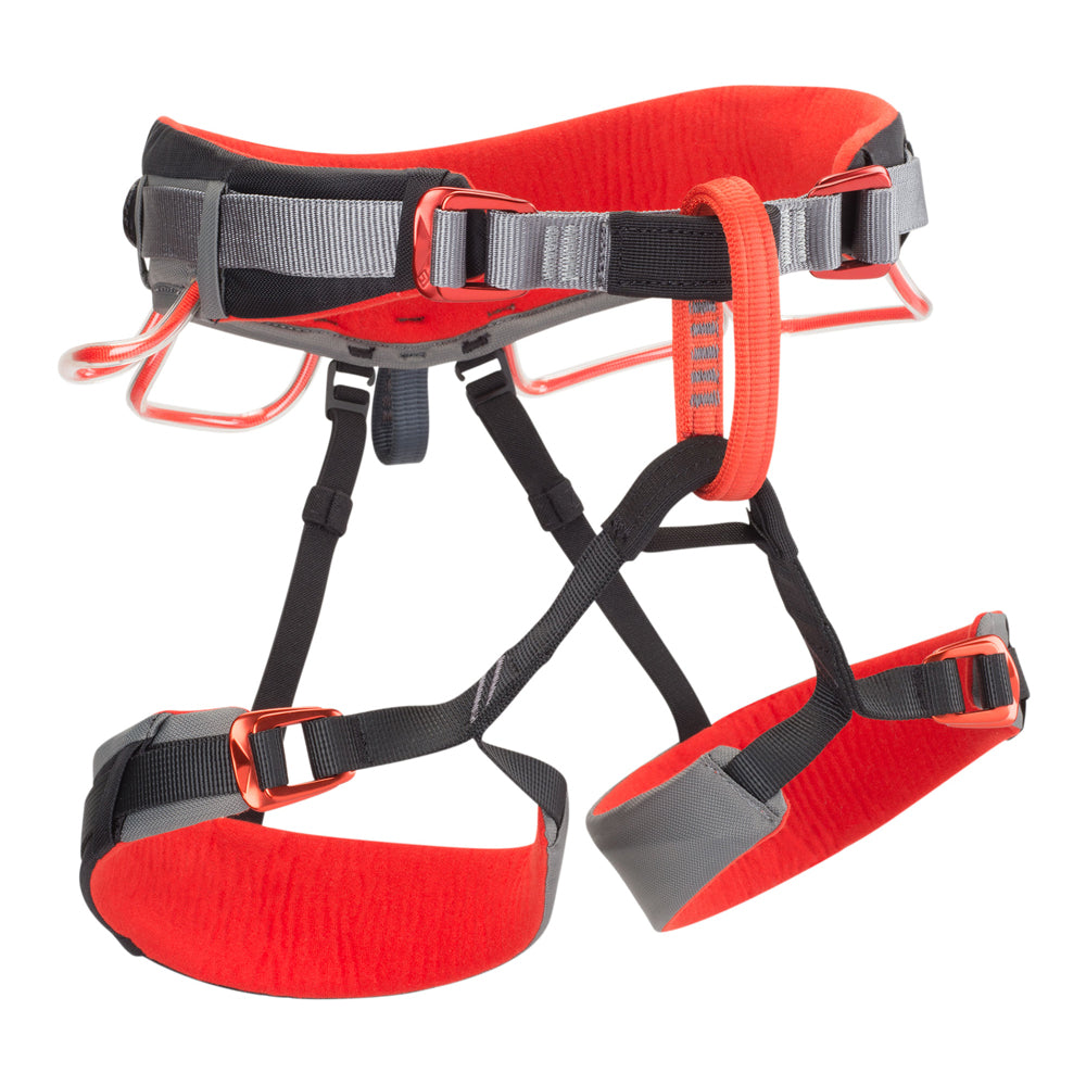 Black Diamond Momentum DS Harness