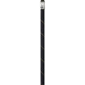 Beal Raider 11mm Static Rope with Aramid Sheath