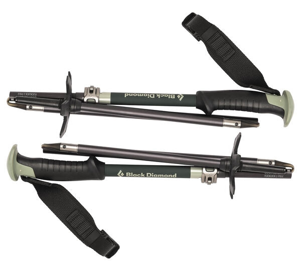 Black Diamond Compactor Ski Poles