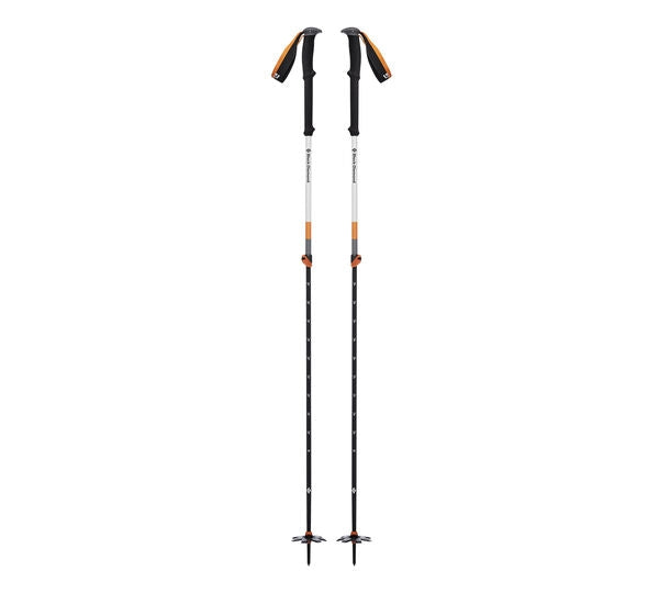 Black Diamond Expedition 2 Ski Poles
