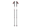 Black Diamond Expedition 3 Ski Poles