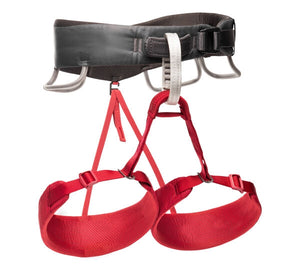 Black Diamond Women's Momentum Harness
