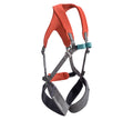 Black Diamond Momentum Kid's Full Body Harness Octane