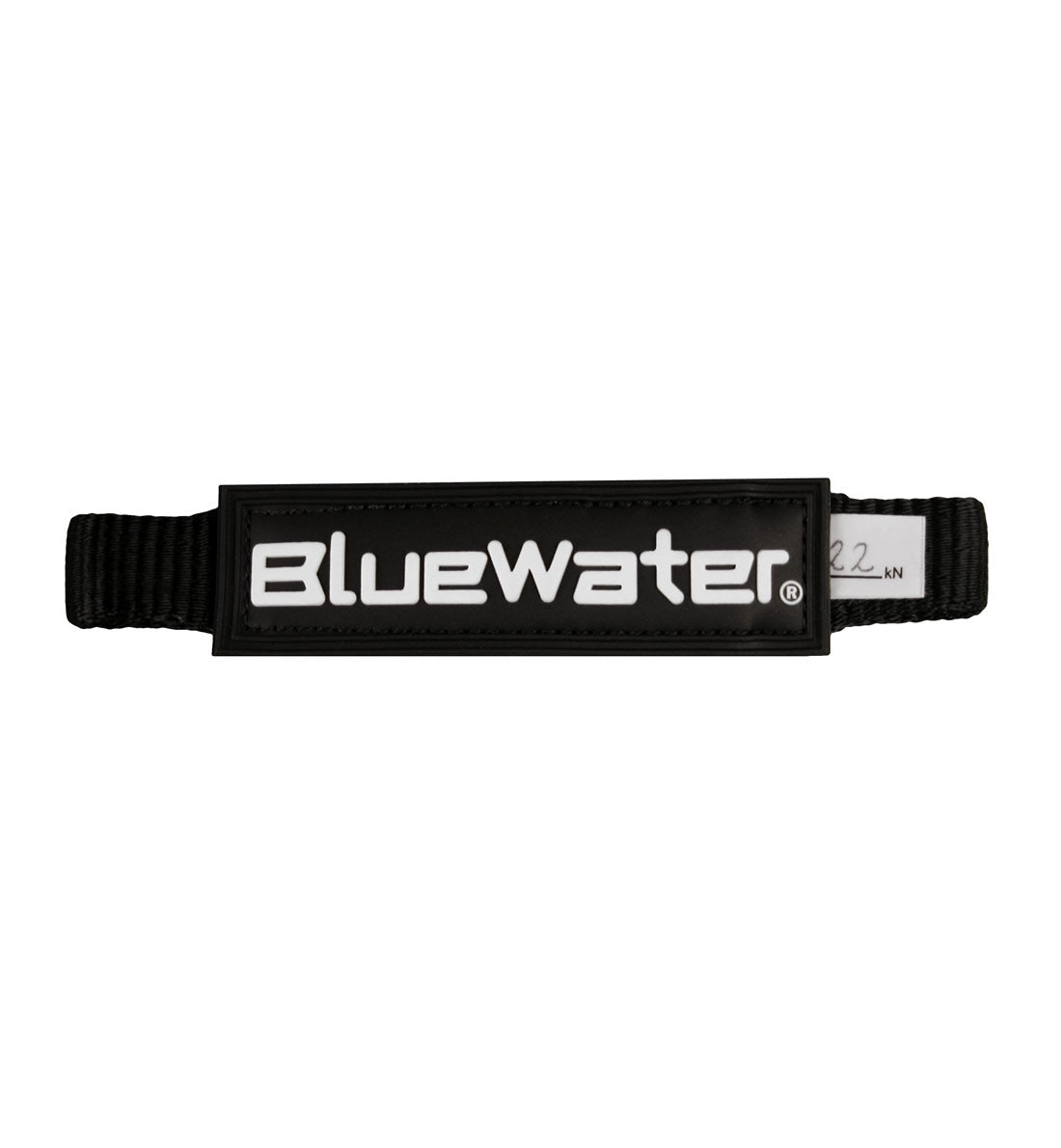 BlueWater Logo Draw