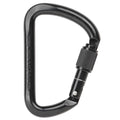 CAMP Steel D Screwlock Carabiner - Black
