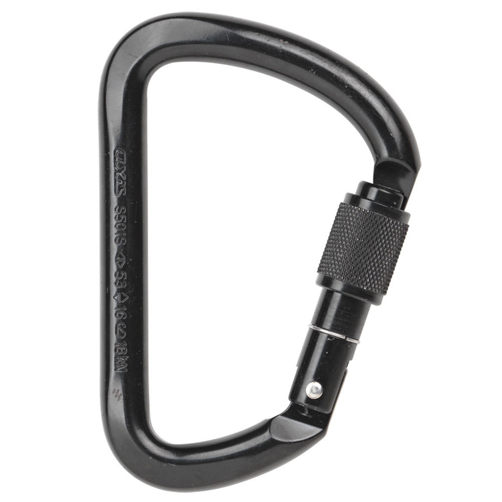 CAMP Steel D Screwlock Carabiner - Black
