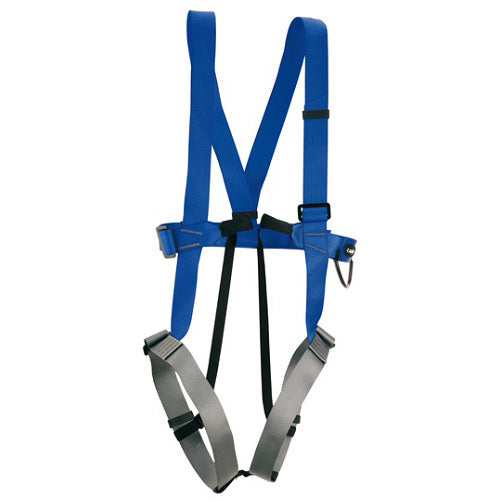 CAMP Easy Full Body Harness