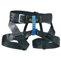Misty Mountain Gym Dandy Harness