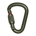 Petzl Attache Screwlock Carabiner -  Green