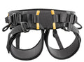 Petzl Falcon Ascent Harness