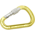 Petzl Attache 3D Screw Lock Carabiner