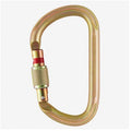 Petzl Vulcan Screw-Lock Steel Carabiner
