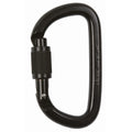 Petzl Am'd Screw Lock Carabiner - Black