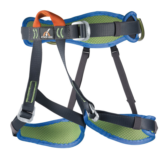 Camp Topaz Harness