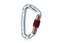 Wild Country Neon Keylock Screwlock Carabiner